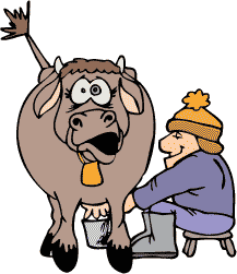 milking